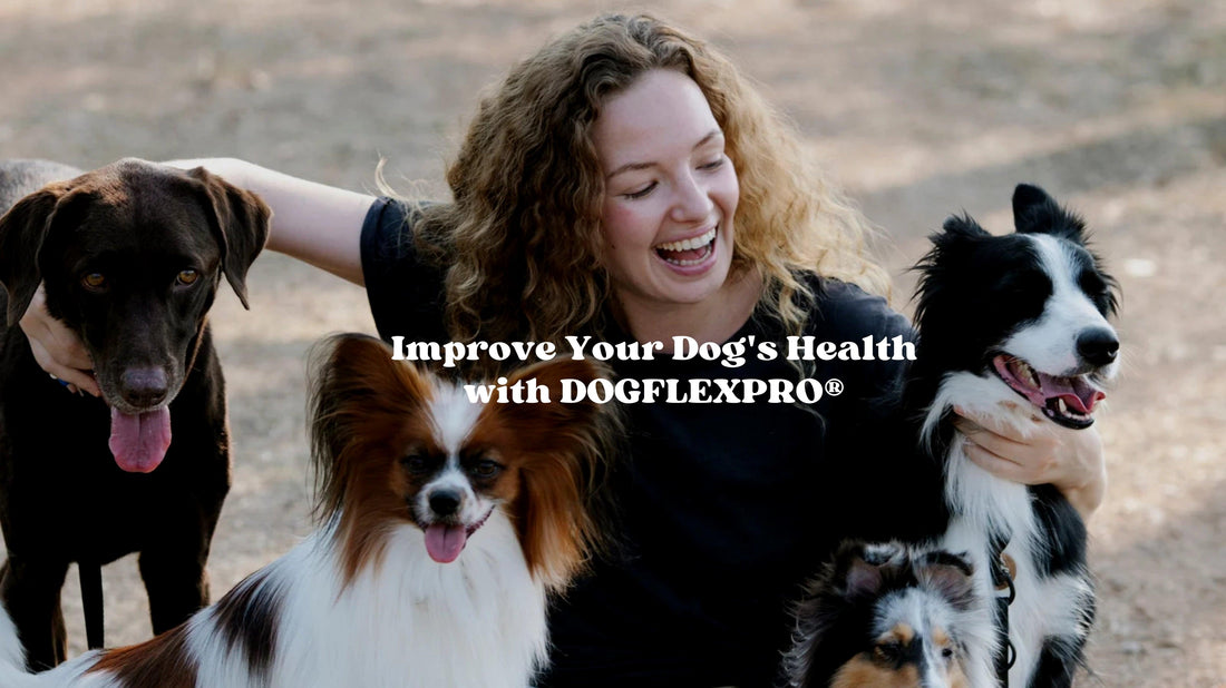 Improve Your Dog's Health with DOGFLEXPRO® - DOGFLEXPRO