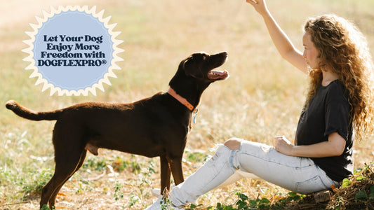 Let Your Dog Enjoy More Freedom with DOGFLEXPRO® - DOGFLEXPRO