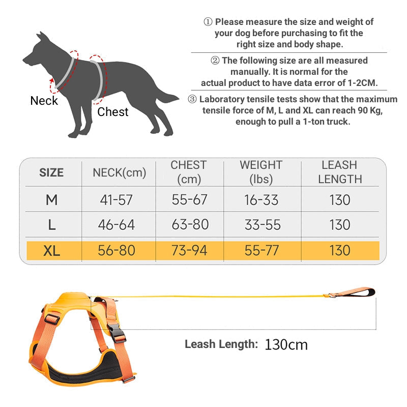 How to Know the Correct Size of the Harness When Changing from a Leash - DOGFLEXPRO